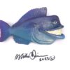 Mr. Q -Fish With Attitude- New Style 2022