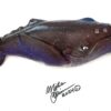 Barnacle Bob - Fish with Attitude - Image 3