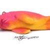 Papa Snooty - Fish With Attitude - Manatee - Image 2