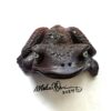 Florida Steve - Frog Art - Image 2