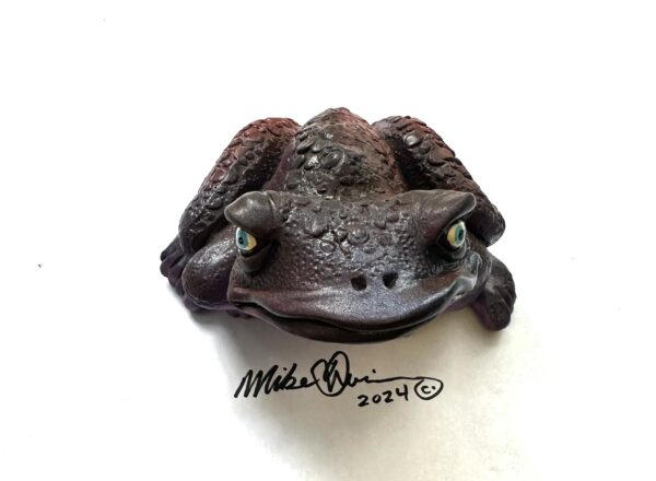 Florida Steve - Frog Art - Image 2
