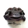 Florida Steve - Frog Art