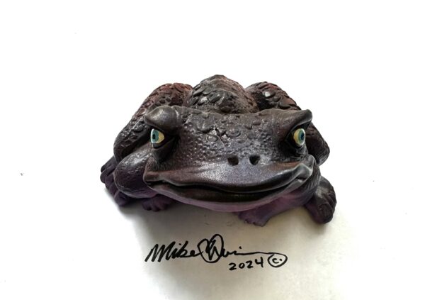 Florida Steve - Frog Art