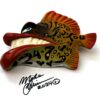 Rainbow Floyd - Fish with Attitude - Image 3