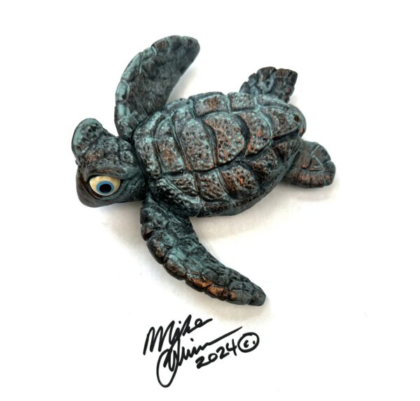 Little Ricky Sea Turtle - Mike Quinn