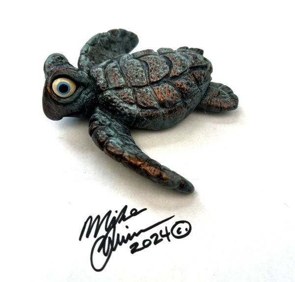 Little Ricky Sea Turtle - Mike Quinn - Image 3