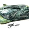 Tyron- Glazed Toothfish - Image 3