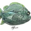 Flap Jack - Glazed Fish - Image 3