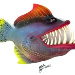 Cisco Kid -Toothfish - Fish With Attitude - Image 3