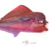 Crusty Rusty - Fish With Attitude