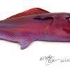 Crusty Rusty - Fish With Attitude - Image 4