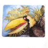 Postcard - Knock Knock Bird - Fish With Attitude