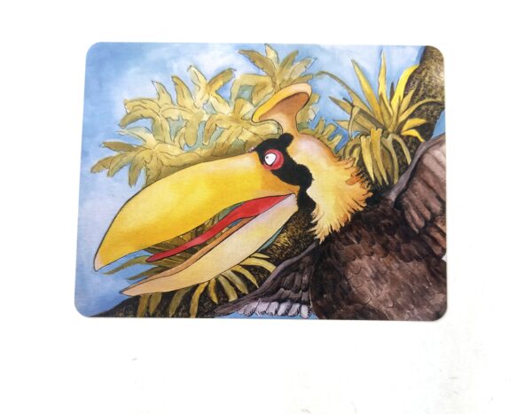 Postcard - Knock Knock Bird - Fish With Attitude