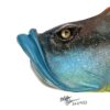 Billy Jack - Fish With Attitude