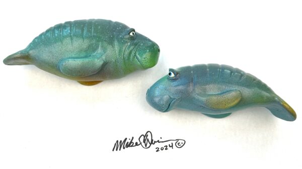 Momma Snooty and Lil Snooty - Fish With Attitude - Manatee
