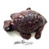Bilbo - Turtle - Image 3