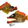 Combo! Wild Ripster and Flo-Dad - Fish with Attitude