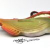 El Capitan - Fish With Attitude - Image 3