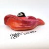 Wild Pablo - Fish with Attitude - Image 2