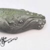 Barnacle Bob - Fish with Attitude