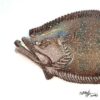 Big Bubba- Flounder with Attitude-XXL 2ft Long!