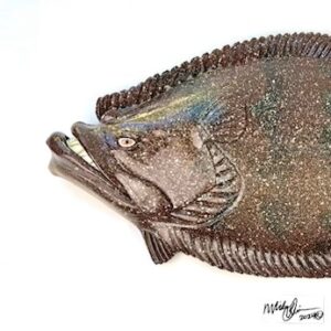 Big Bubba- Flounder with Attitude-XXL 2ft Long!
