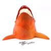 Big Rita Shark - Fish with Attitude - Image 3