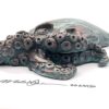 Mr. Poopy Octopus - Fish with Attitude - Image 3