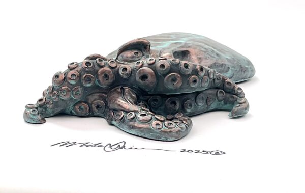 Mr. Poopy Octopus - Fish with Attitude - Image 3
