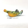 Wild Pita Boo -Fish with Attitude - Image 3