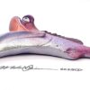 Bright Dr. Trovlov - Fish with Attitude - Image 3