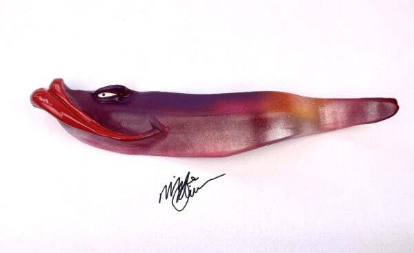 Wild Steve Eel - Fish with Attitude - Image 4