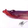 Wild Steve Eel - Fish with Attitude