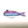 Roger Dodger - Fish With Attitude - Image 3