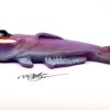 Toothy Uncle Charles - Fish with Attitude - Image 3
