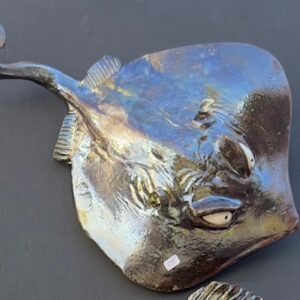 Stinky Steve- Stingray