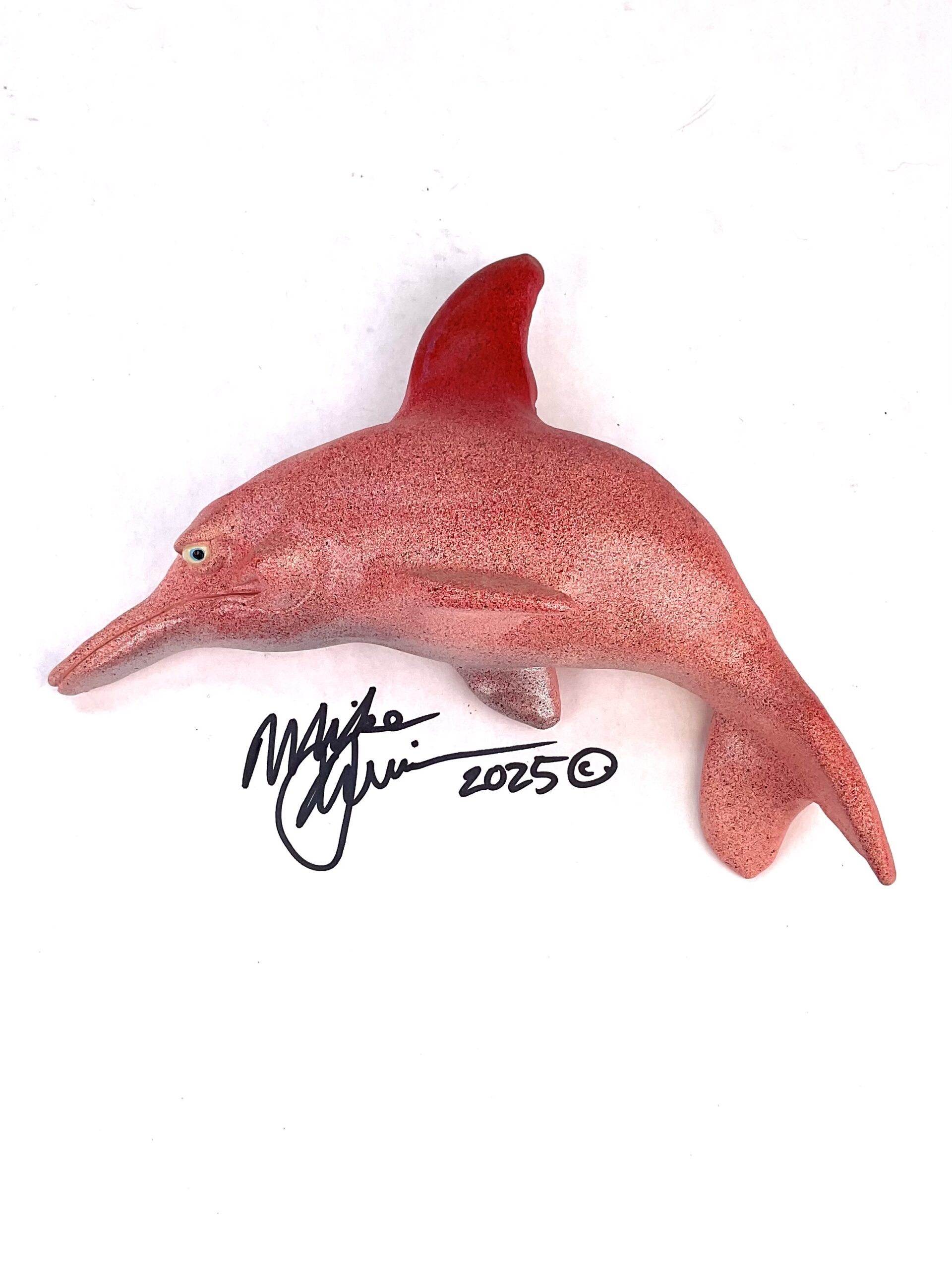 Dolphin - Fish With Attitude