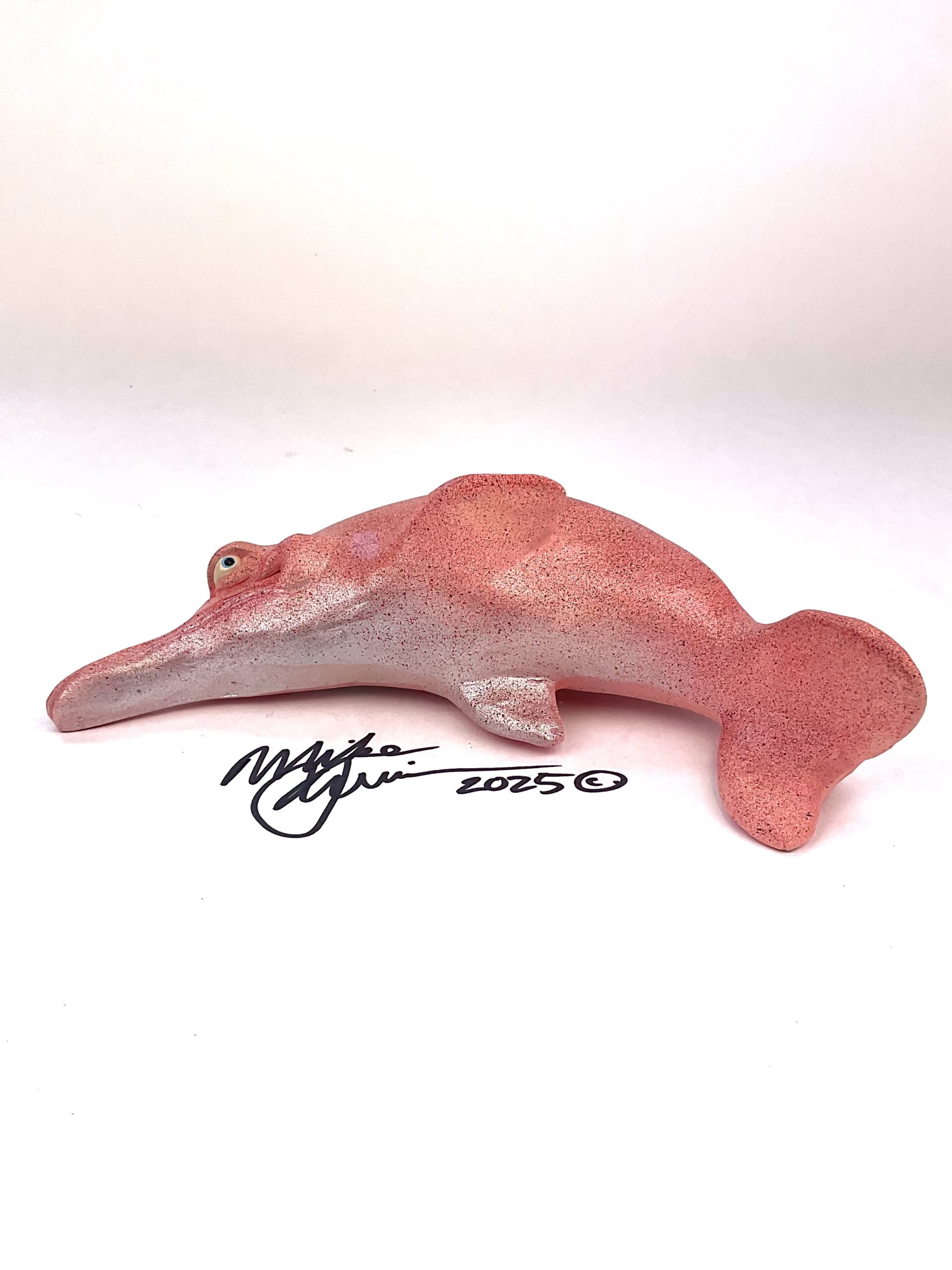 Dolphin - Fish With Attitude - Image 3