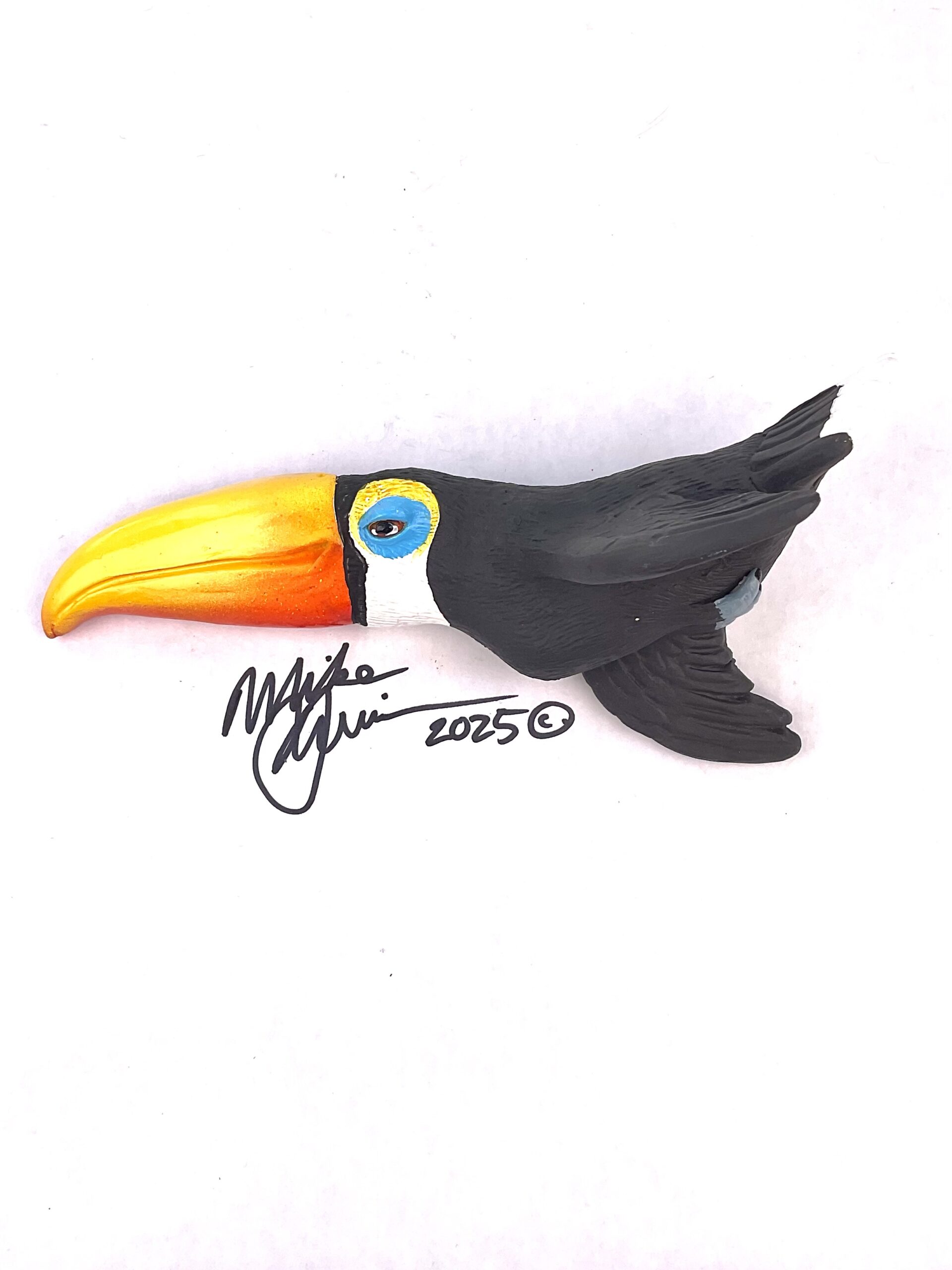 Paco - Bird With Attitude