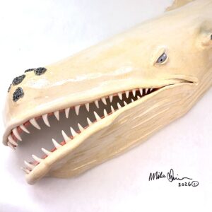 Large glazed whale- Little Tony