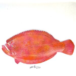 Flat Freddy - Fish with Attitude