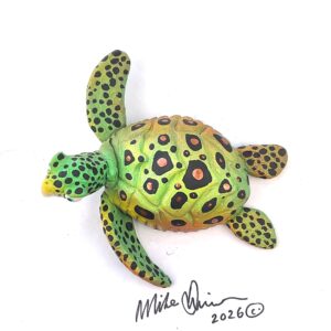 Timmy- Sea Turtle