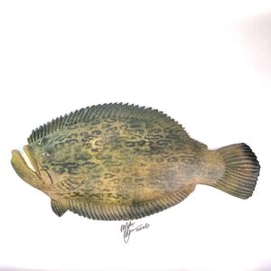 Flat Freddy - Fish with Attitude