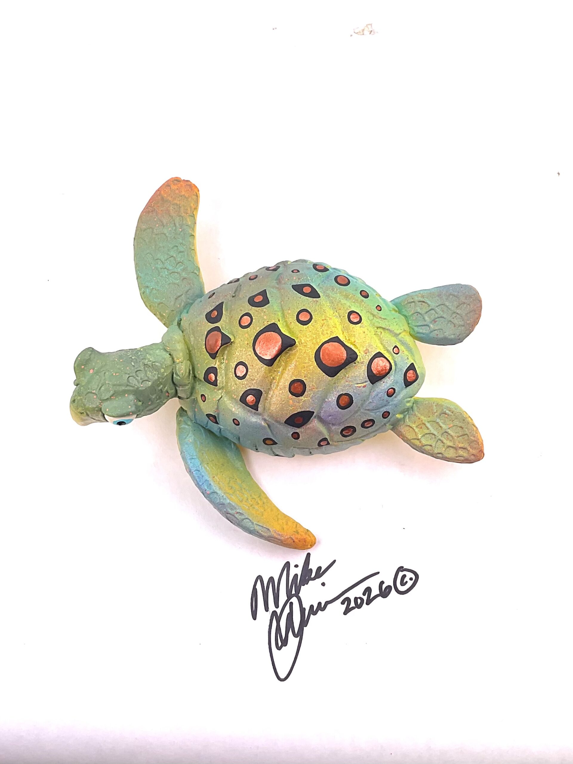 Timmy- Sea Turtle