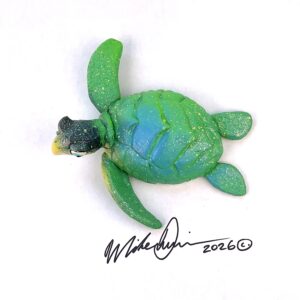 Timmy- Sea Turtle