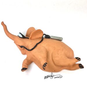 Eleanora- Elephant- Fish With Attitude