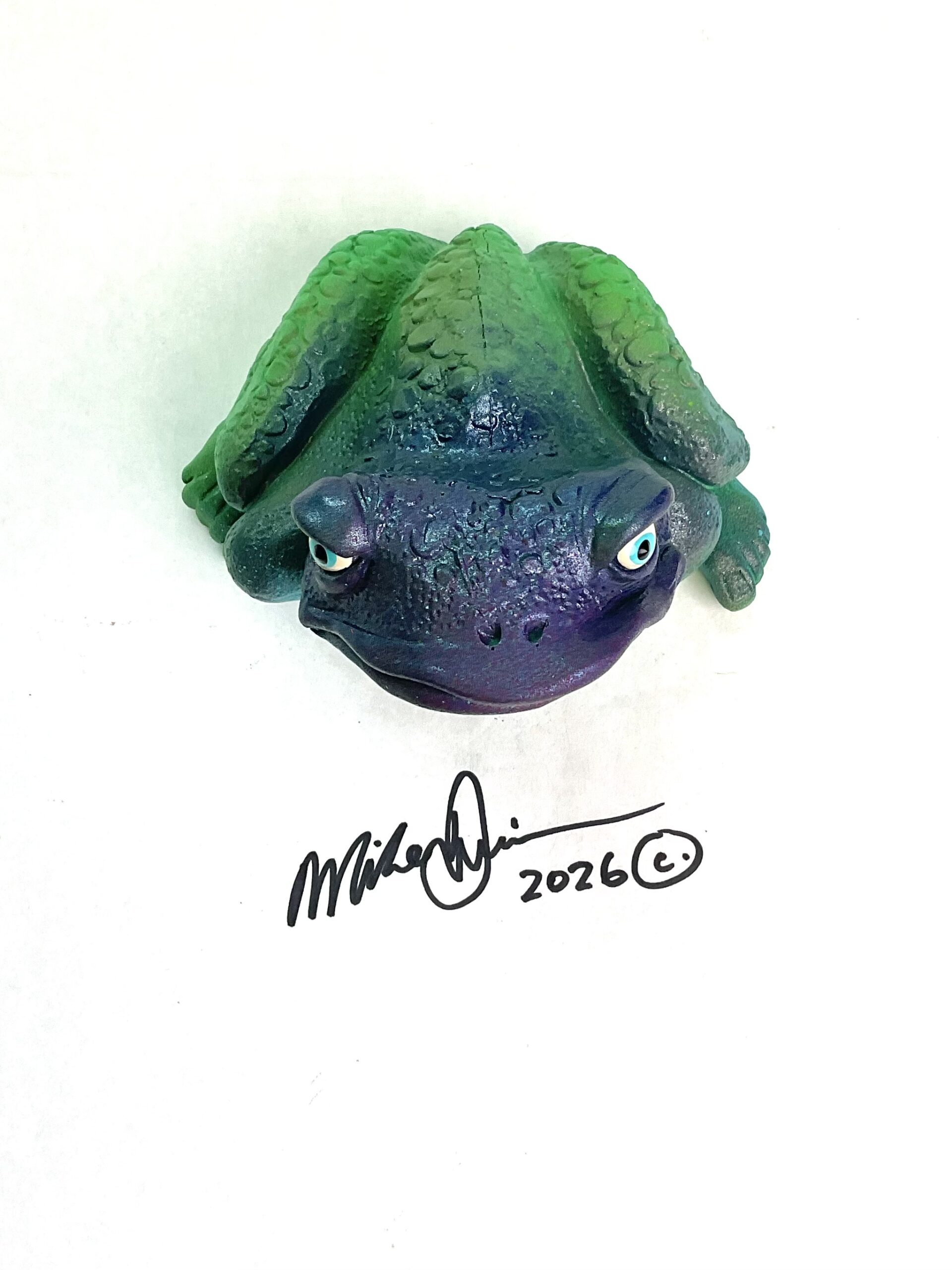Florida Steve - Frog Art - Image 3