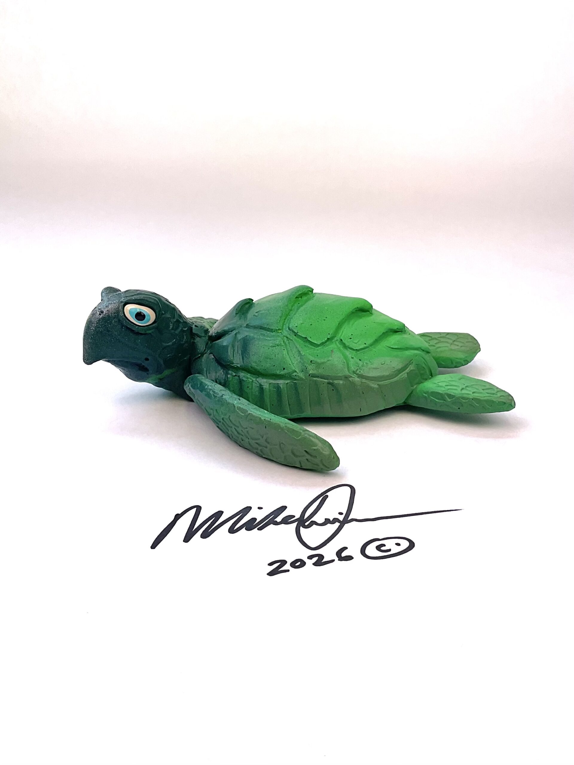 Timmy- Sea Turtle