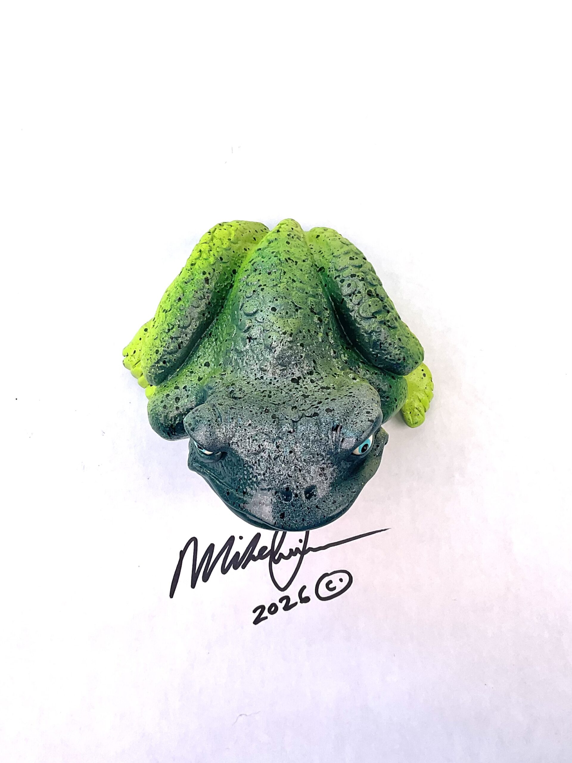 Florida Steve - Frog Art - Image 3