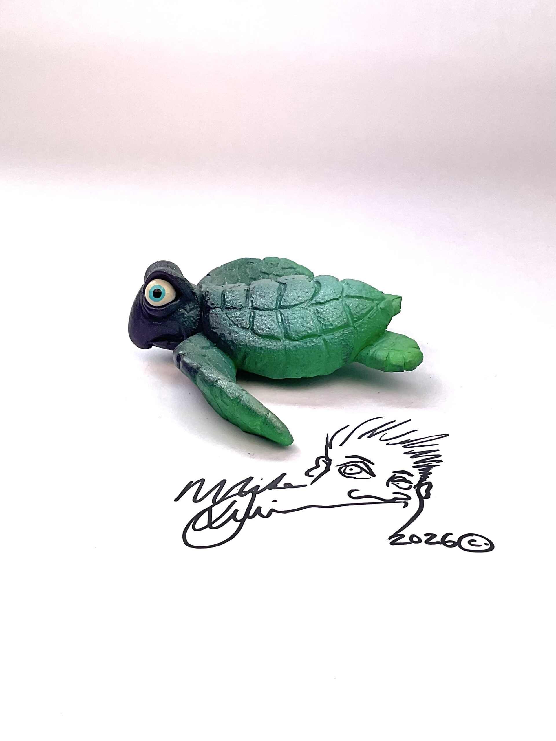 Little Ricky Sea Turtle - Mike Quinn